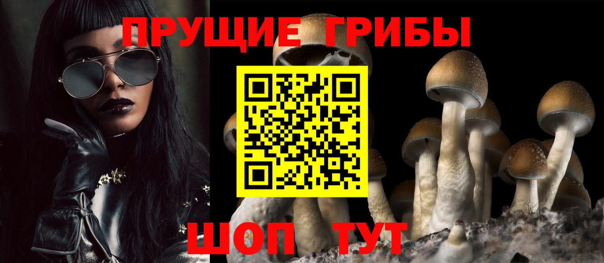 Галлюциногенные грибы GOLDEN TEACHER  где продают наркотики  Острогожск  Вход с VPN 