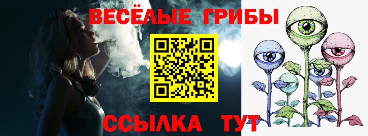 Галлюциногенные грибы GOLDEN TEACHER Острогожск